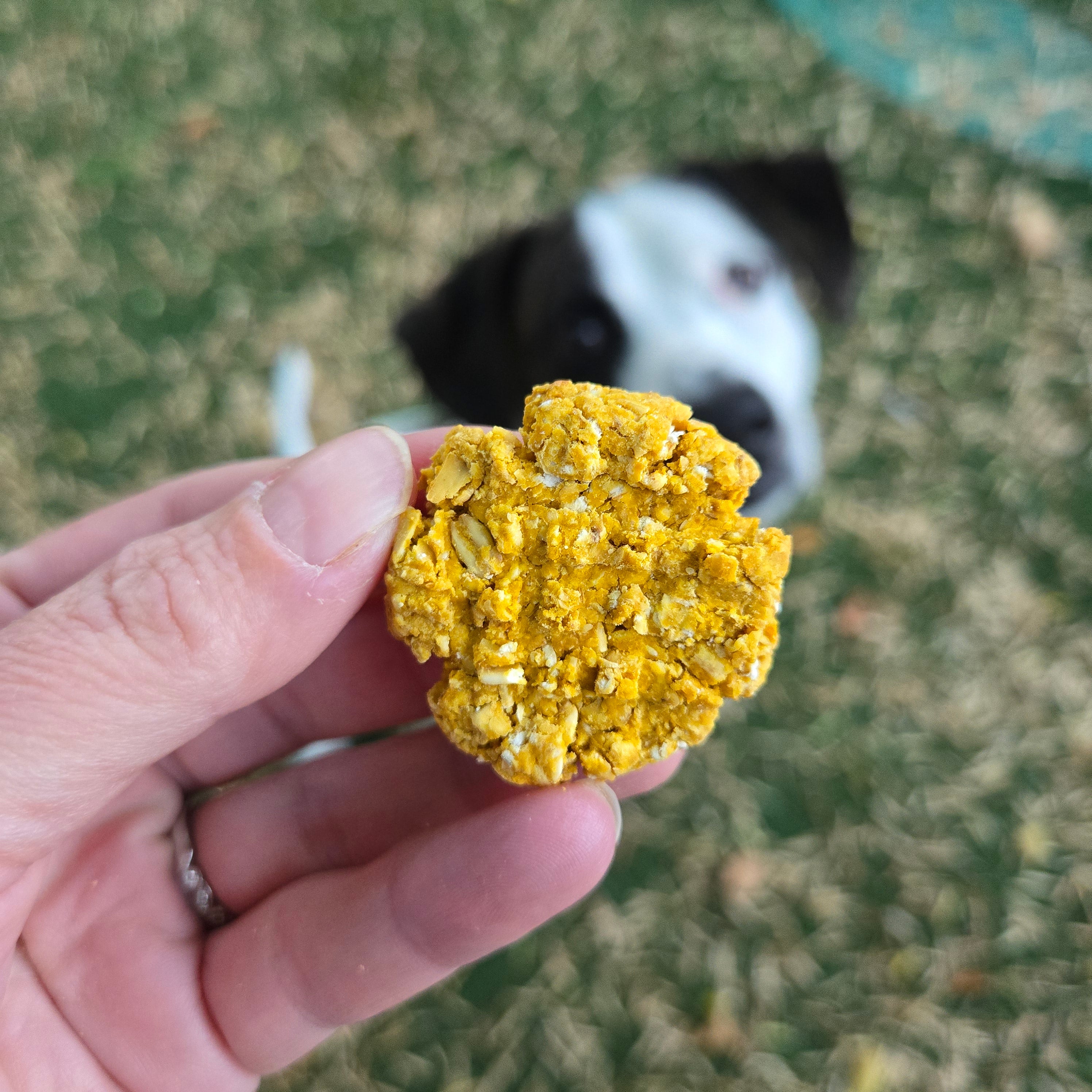 Waylon's Wafers- Pumpkin, Oat, Peanut Butter
