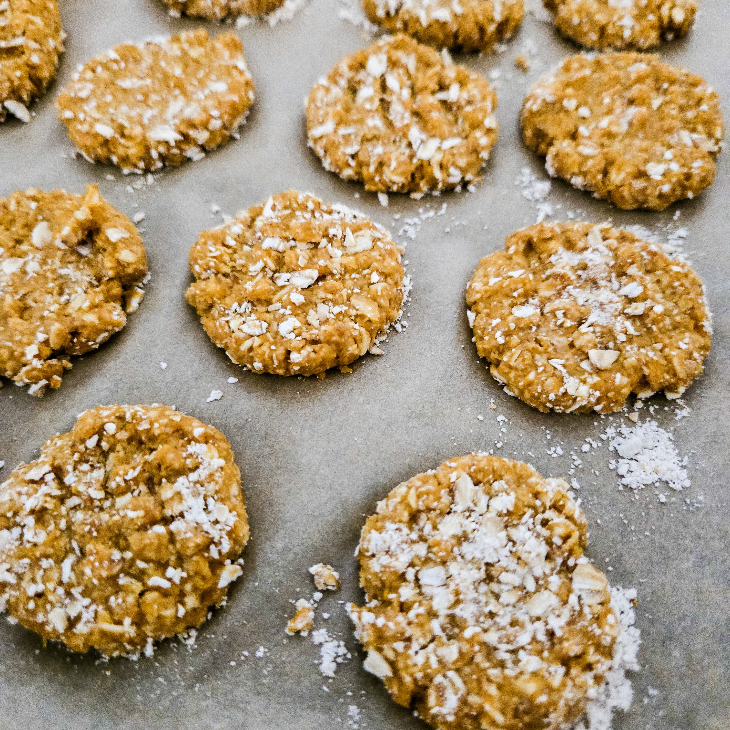Waylon's Wafers- Pumpkin, Oat, Peanut Butter