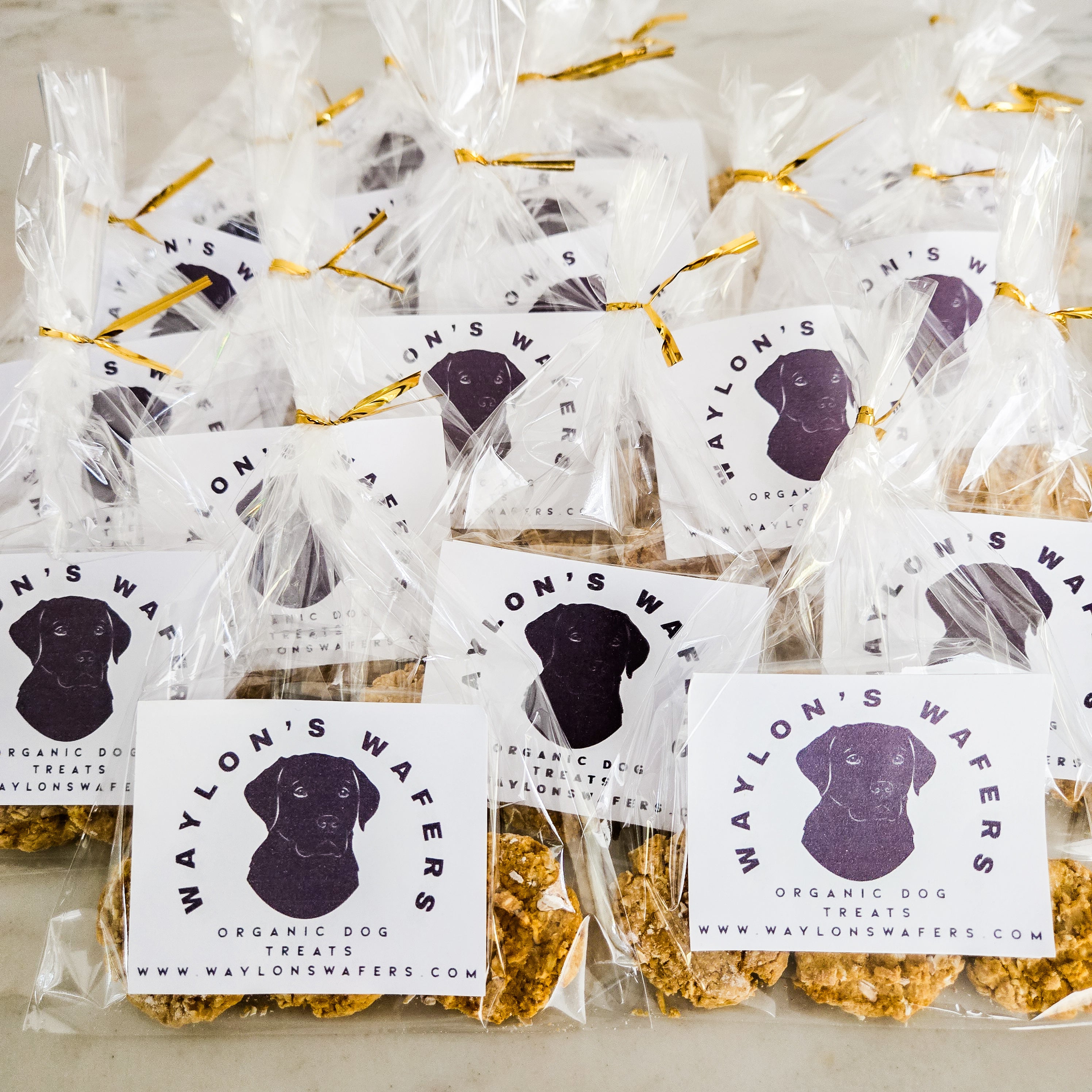 Waylon's Wafers- Pumpkin, Oat, Peanut Butter