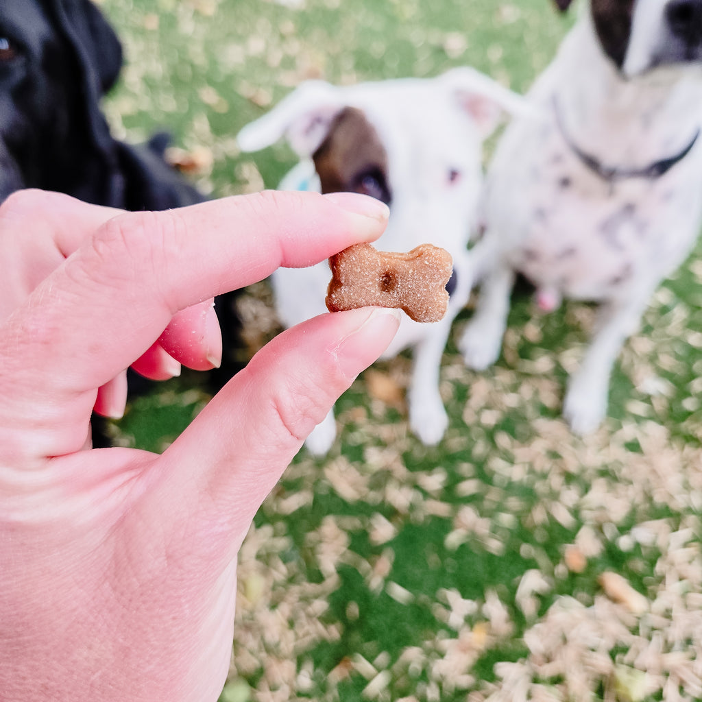 Billie's Bones- Sweet Potato Training Treats