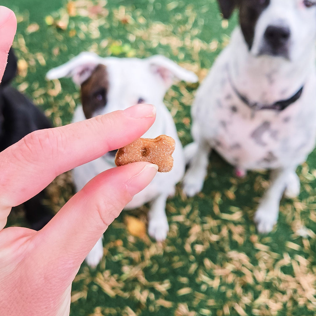 Billie's Bones- Sweet Potato Training Treats