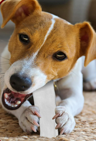 Ringo's Rawhides