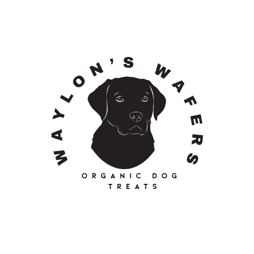 Waylon's Wafers- Pumpkin, Oat, Peanut Butter